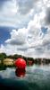 	Quarry Lake Swimming Course - Austin - Texas