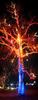 	Zilker Park Trail Of Lights Tree Lights - Austin - Texas