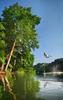 	Rope Swing Jumpers over Lady Bird Lake - Austin - Texas