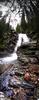 	Valecito Creek Waterfall - Weminuche Wilderness