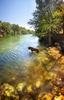 	Dog Wading at Red Bud Isle 2 - Lady Bird Lake - Austin - Texas