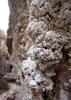 	Tapeats Creek Calcium Deposits - Grand Canyon