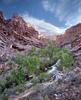 	Tapeats Creek - Grand Canyon