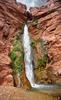	Deer Creek Falls Swimmer - Grand Canyon
