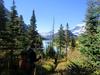 	Ptarmigan Trail Overlooking Cosley Lake - Glacier National Park