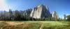 	Cathedral Rocks from El Capitan Meadow - Yosemite Valley