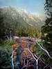 	Kaleidoscopic Spring Outflow - Iva Bell Hot Springs - Sierra