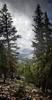 	Bubbs Creek Valley and Center Peak - John Muir Trail